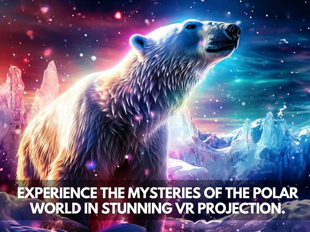 VKX2023 The Polar Experience Polar Bear