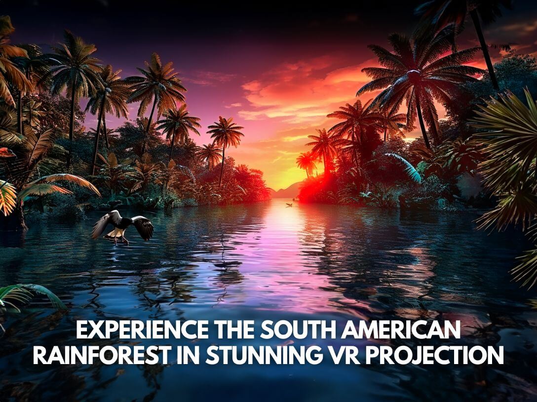 VKX2023 The South American Rainforest