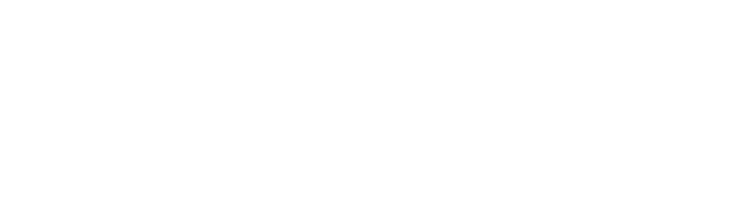 The Vkind Experience 2024