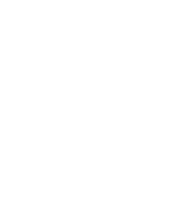 Sunset Mushrooms