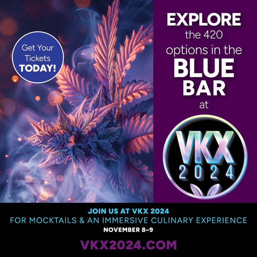 About - VKX 2024